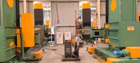 STWB100 Asynchrone Positioner für das Heben von Kopf und Schwanz